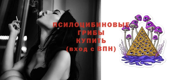 прущий лед Алексеевка